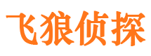 调兵山市私家侦探